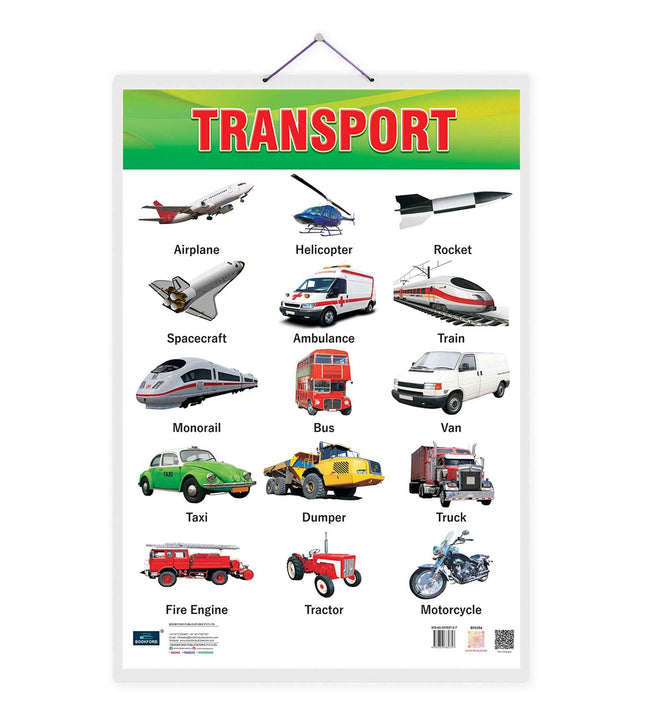 Transport Double Side Laminated Chart - Non-Tearable and Waterproof, Double Sides Printed Laminated Chart, Perfect for Homeschooling, Kindergarten and Nursery Children's.