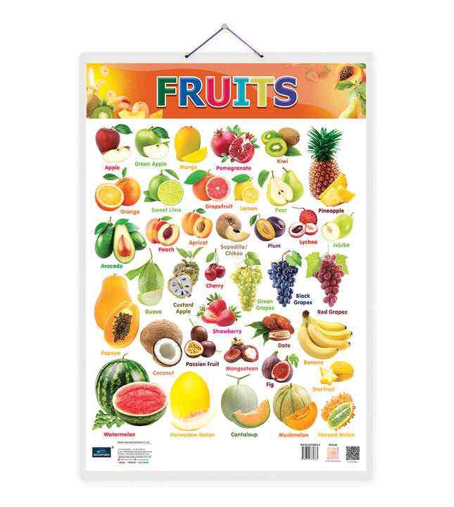 Fruits Double Side Laminated Chart - Non-Tearable and Waterproof, Double Sides Printed Laminated Chart, Perfect for Homeschooling, Kindergarten and Nursery Children's.