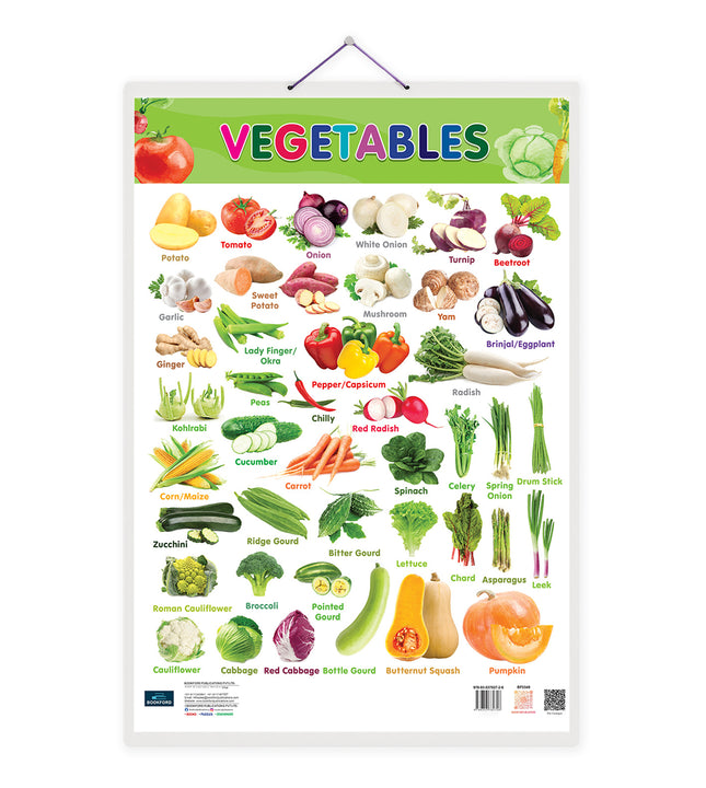 Vegetables  Double Side Laminated Chart - Non-Tearable and Waterproof, Double Sides Printed Laminated Chart for Children's.