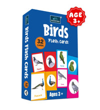 Birds - Multicolor Flash Cards For Kids.