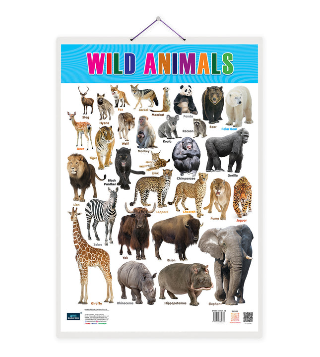 Wild Animals, Birds and Fishes Double Side Laminated Chart - Non-Tearable and Waterproof, Double Sides Printed Laminated Chart, Perfect for Homeschooling, Kindergarten and Nursery Children's.