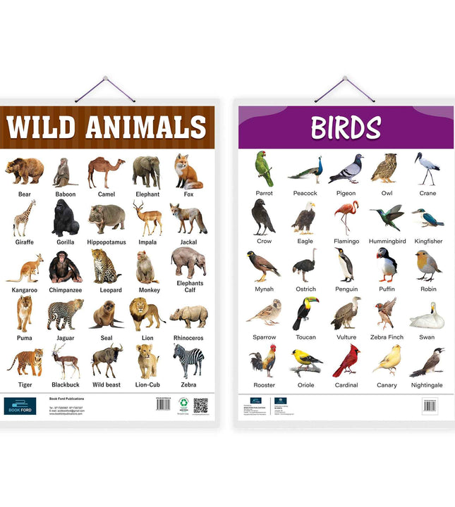 Wild Animals and Birds Early Learning Educational Chart (set of 2) for Kids.