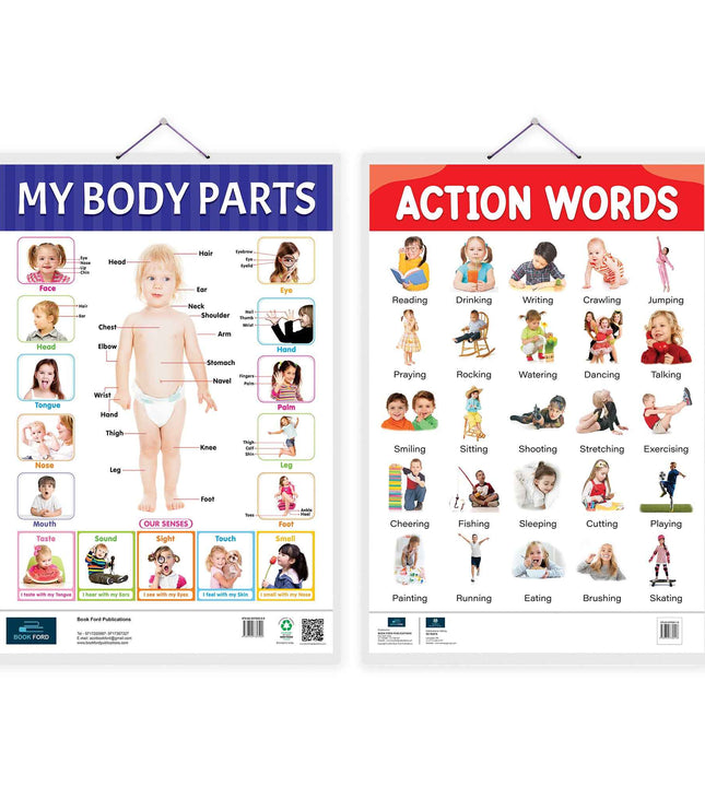 Action Words, My Body Parts Early Learning Educational Chart (set of 2) for Kids.