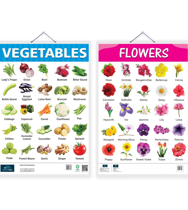 Flowers and Vegetable Early Learning Educational Chart (set of 2) for Kids.