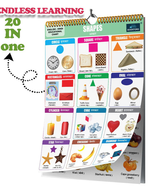 20 in 1 Shape Educational Chart For Kids-Children Spiral Wall Picture Chart with Big Fonts and Realistic Pictures Paper (14 inch X 19 inch, both front and back sides)
