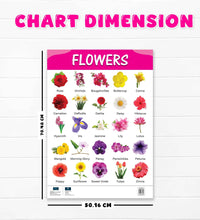 Flowers and Vegetable Early Learning Educational Chart (set of 2) for Kids.