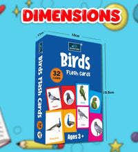 Birds - Multicolor Flash Cards For Kids.