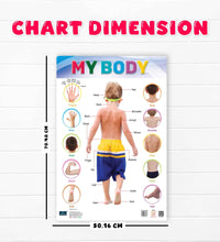 My Body Laminated Chart- Non-Tearable and Waterproof, Double Sides Printed Laminated Chart, Perfect for Homeschooling, Kindergarten and Nursery Childrens.