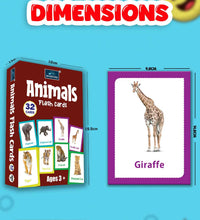 Animals - Multicolor Flash Cards For Kids.