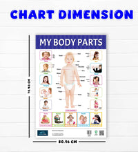 Action Words, My Body Parts Early Learning Educational Chart (set of 2) for Kids.