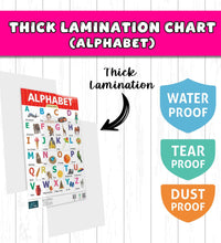 Alphabet, Hindi Varnamala Early Learning Educational Chart (set of 2) for Kids.