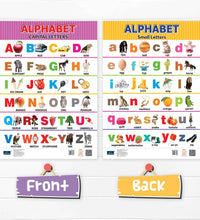 Alphabet (Capital , Small Letter) Double Side Laminated Chart- Non-Tearable and Waterproof, Double Sides Printed Laminated Chart.