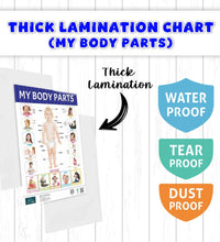 Action Words, My Body Parts Early Learning Educational Chart (set of 2) for Kids.