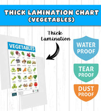 Flowers and Vegetable Early Learning Educational Chart (set of 2) for Kids.