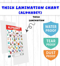 Alphabet, Hindi Varnamala and Number 1-50 Learning Chart (set of 3) for Kids.