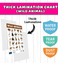 Wild Animals and Birds Early Learning Educational Chart (set of 2) for Kids.