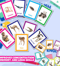 Animals - Multicolor Flash Cards For Kids.