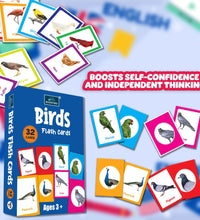 Birds - Multicolor Flash Cards For Kids.