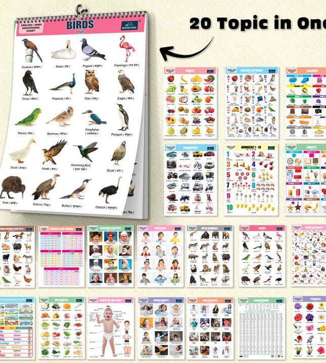 20 in 1 Birds Educational Chart For Kids-Children Spiral Wall Picture Chart with Big Fonts and Realistic Pictures Paper (14 inch X 19 inch, both front and back sides)