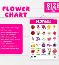 Flowers and Vegetable Early Learning Educational Chart (set of 2) for Kids.