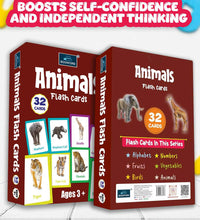 Animals - Multicolor Flash Cards For Kids.