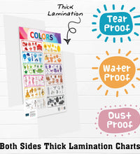 Colors and Shapes Double Side Laminated Chart- Non-Tearable and Waterproof, Double Sides Printed Laminated Chart, Perfect for Homeschooling, Kindergarten and Nursery Children's.