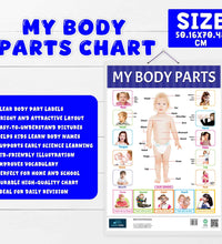Learn Good Manners, My Body Parts and Action Words Educational Charts - set of 3 For Kids.