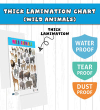 Wild Animals, Birds and Fishes Double Side Laminated Chart - Non-Tearable and Waterproof, Double Sides Printed Laminated Chart, Perfect for Homeschooling, Kindergarten and Nursery Children's.