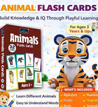 Animals - Multicolor Flash Cards For Kids.