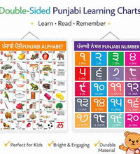 Punjabi Alphabet and Number Double Side Laminated Chart - Non-Tearable and Waterproof, Double Sides Printed Laminated Chart, Perfect for Homeschooling, Kindergarten and Nursery Children's