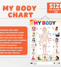 My Body Laminated Chart- Non-Tearable and Waterproof, Double Sides Printed Laminated Chart, Perfect for Homeschooling, Kindergarten and Nursery Childrens.