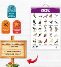 Wild Animals and Birds Early Learning Educational Chart (set of 2) for Kids.