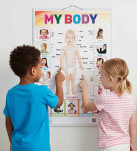 My Body Laminated Chart- Non-Tearable and Waterproof, Double Sides Printed Laminated Chart, Perfect for Homeschooling, Kindergarten and Nursery Childrens.