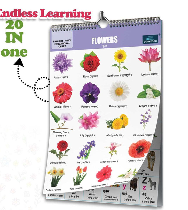 20 in 1 Flower Educational Chart For Kids-Children Spiral Wall Picture Chart with Big Fonts and Realistic Pictures Paper (14 inch X 19 inch, both front and back sides)