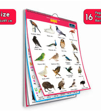 16 in 1 Birds Educational Chart For Kids
