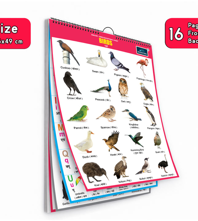 16 in 1 Birds Educational Chart For Kids