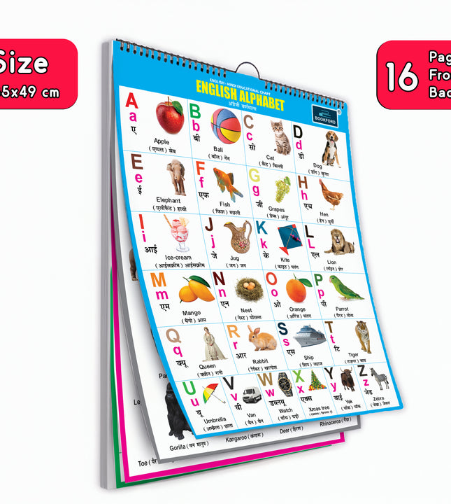 16 in 1 ENGLISH-HINDI Educational Chart For Kids