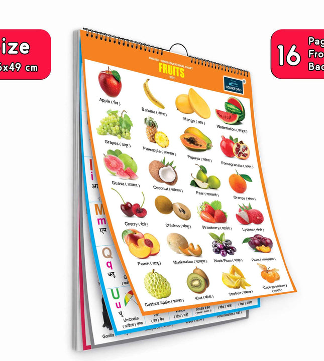 16 in 1 Fruits Educational Chart For Kids (16 Charts front back ) 36 x 50 cm - Children Spiral Wall Picture Chart