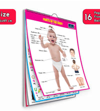 16 in 1 Parts of The Body Educational Chart For Kids (16 Charts front back ) 36 x 50 cm - Children Spiral Wall Picture Chart