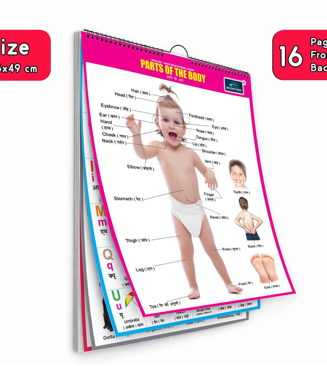 16 in 1 Parts of The Body Educational Chart For Kids (16 Charts front back ) 36 x 50 cm - Children Spiral Wall Picture Chart