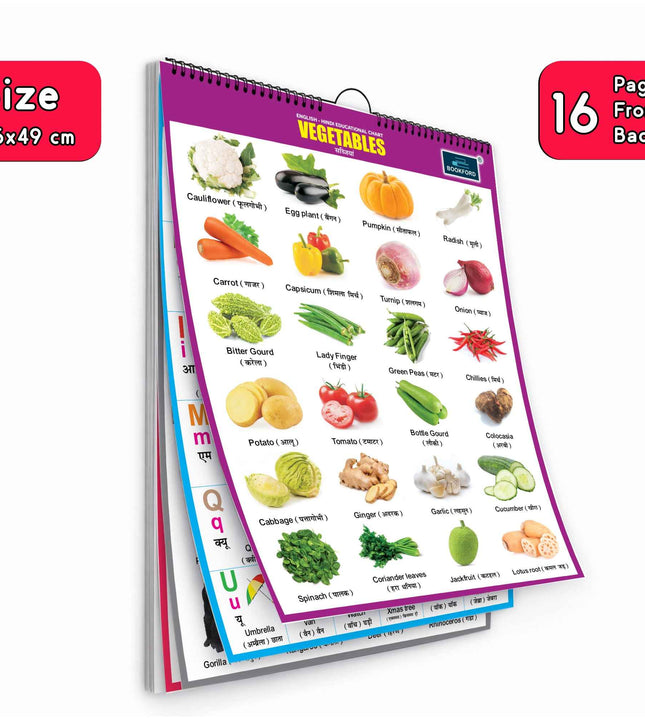16 in 1 Vegetables Educational Chart For Kids (16 Charts front back ) 36 x 50 cm - Children Spiral Wall Picture Chart
