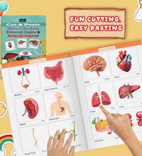 CUT & PASTE COMBO SET OF 10 (2) books for kids