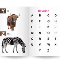 My Small Laminated Book - Alphabet Books For Kids