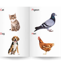 My Small Laminated Book - Wild Animals & Domestic Animals Books For Kids