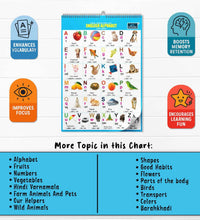 16 in 1 Birds Educational Chart For Kids