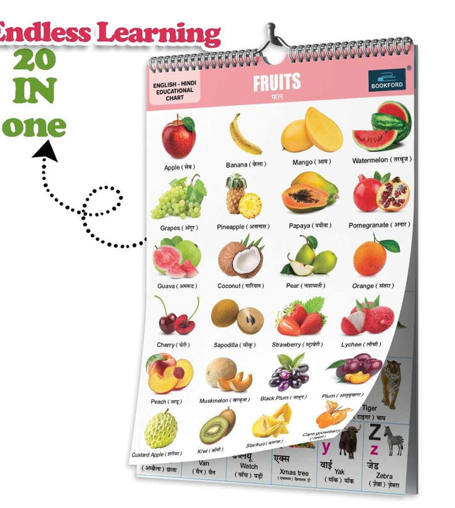20 in 1 Fruits Educational Chart For Kids-Children Spiral Wall Picture Chart with Big Fonts and Realistic Pictures Paper (14 inch X 19 inch, both front and back sides)