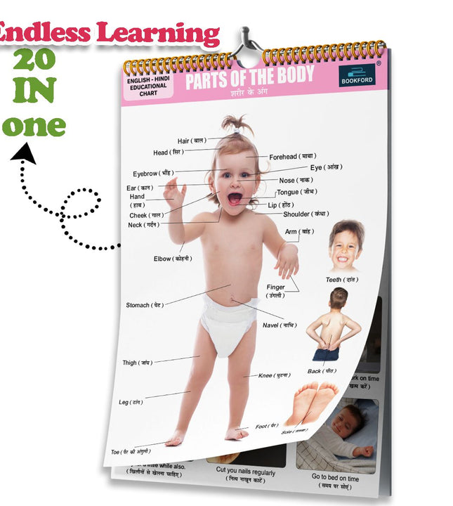 20 in 1 Parts of The Body Educational Chart For Kids-Children Spiral Wall Picture Chart with Big Fonts and Realistic Pictures Paper (14 inch X 19 inch, both front and back sides)