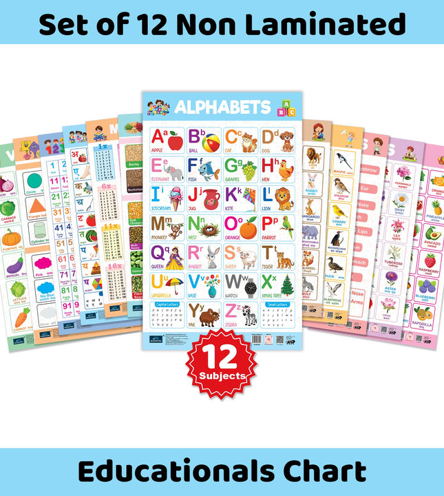 All ABCD Alphabet , Number, Hindi Varnmala Learning Chart (Set of 12) – 1 to 100 Number Chart, English Alphabet Chart, Kids Learning Chart, Educational Poster for Nursery, LKG and Preschool