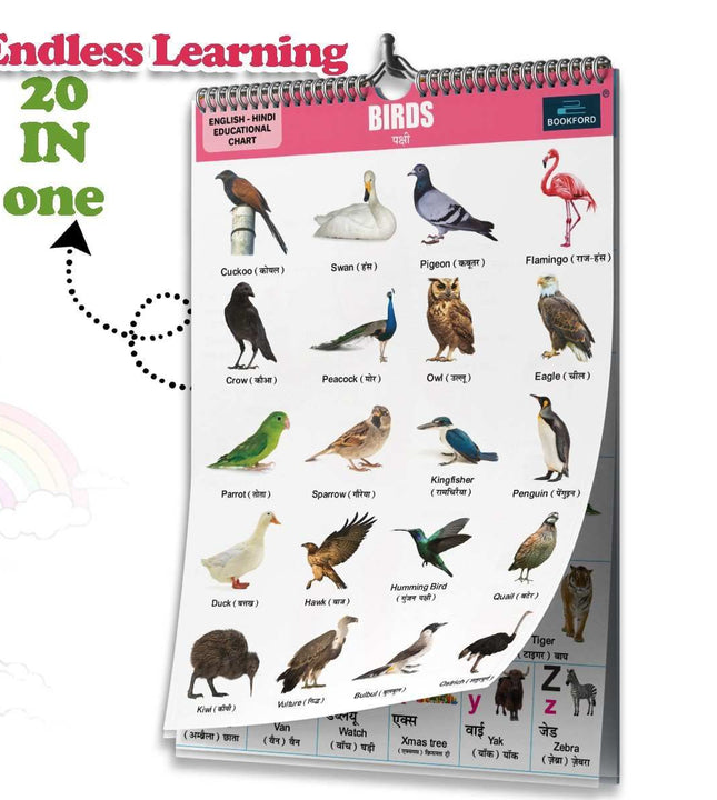 20 in 1 Birds Educational Chart For Kids-Children Spiral Wall Picture Chart with Big Fonts and Realistic Pictures Paper (14 inch X 19 inch, both front and back sides)